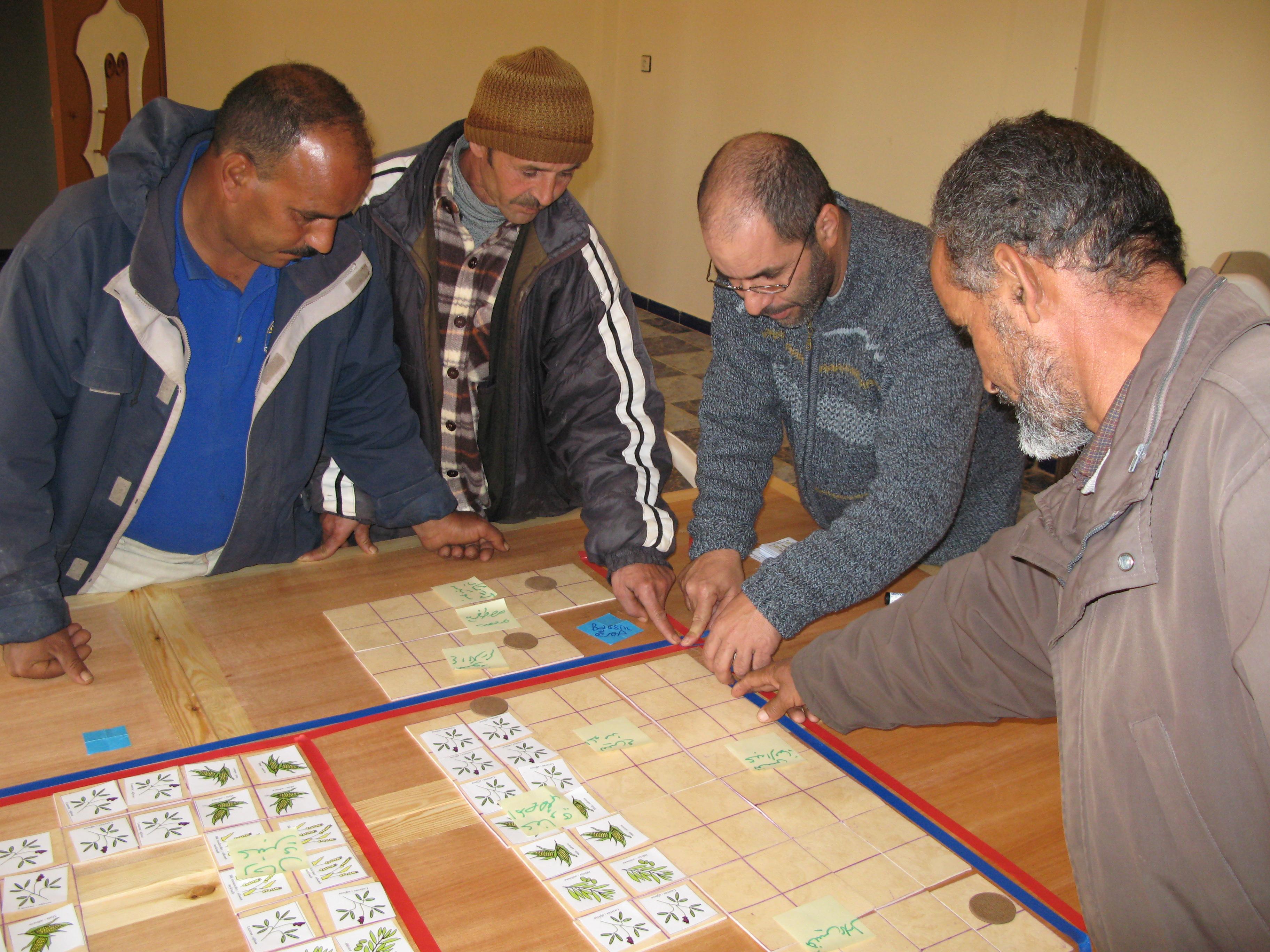 aquastress-co-conception-de-reseaux-collectifs-dirrigation-au-goutte-a-goutte-au-maroc
